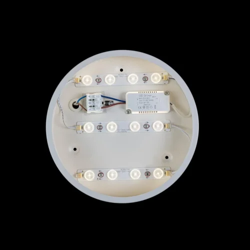 Светильник потолочный LED Axel 10002/12 White LOFT IT белый 1 лампа, основание белое в стиле современный  фото 3