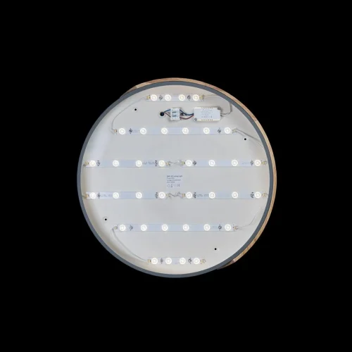 Светильник потолочный LED Axel 10004/36 Grey LOFT IT белый 1 лампа, основание серое бежевое в стиле современный  фото 3