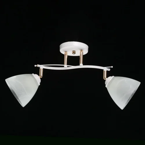 Светильник потолочный Нежность 676013502 DeMarkt белый 2 лампы, основание белое в стиле современный  фото 4