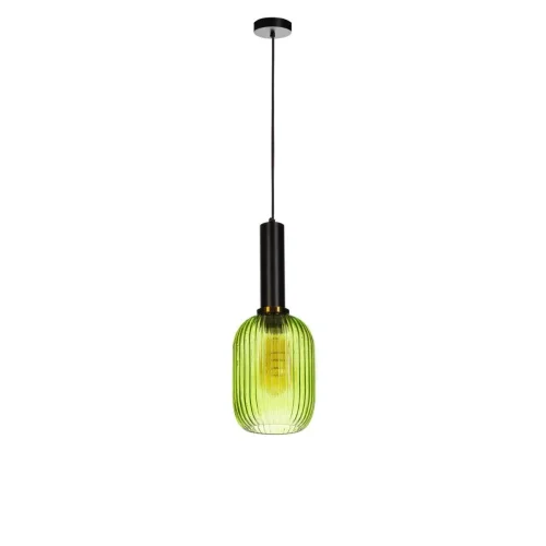 Светильник подвесной Iris 2072-A+BL LOFT IT зелёный 1 лампа, основание чёрное в стиле лофт выдувное фото 2