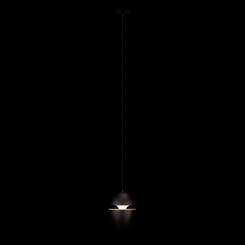 Светильник подвесной LED Viterbo 10336 Black LOFT IT чёрный 1 лампа, основание чёрное в стиле современный хай-тек  фото 2