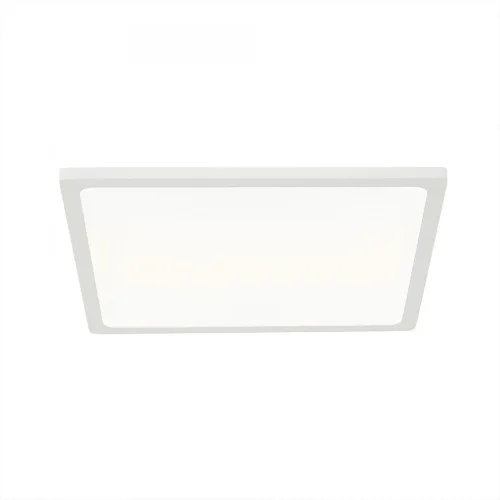 Светильник точечный LED Омега CLD50K220 Citilux белый 1 лампа, основание белое в стиле современный 