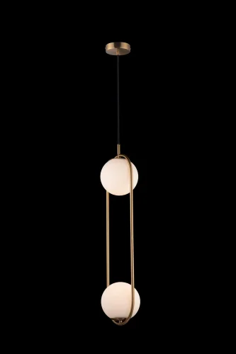 Светильник подвесной Glob LOFT2601-A LOFT IT белый 2 лампы, основание медь в стиле современный шар фото 4