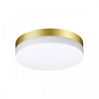 Потолочный светильник LED Opal 358884 Novotech уличный IP54 золотой 1 лампа, плафон белый в стиле хай-тек современный LED