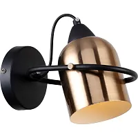 Бра Faeton 2007/02/01W Stilfort бронзовый 1 лампа, основание чёрное в стиле современный 