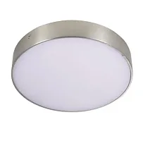 Светильник потолочный LED Evon APL.0114.19.12 Aployt белый 1 лампа, основание никель в стиле хай-тек современный 