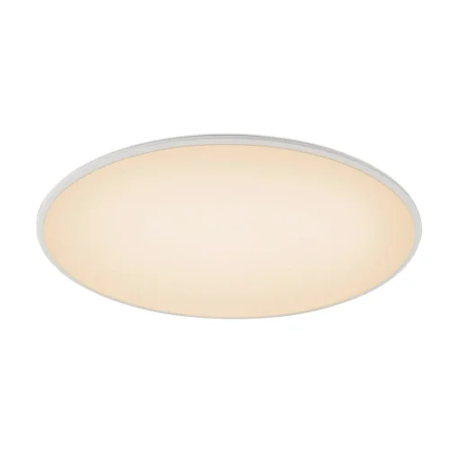 Светильник потолочный LED Slim 7972 Mantra белый 1 лампа, основание белое в стиле современный  фото 4