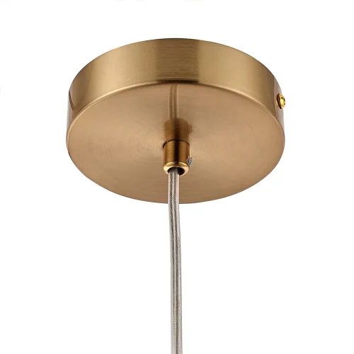 Светильник подвесной Cameron A7720SP-1AB Arte Lamp прозрачный 1 лампа, основание античное бронза в стиле современный шар фото 4