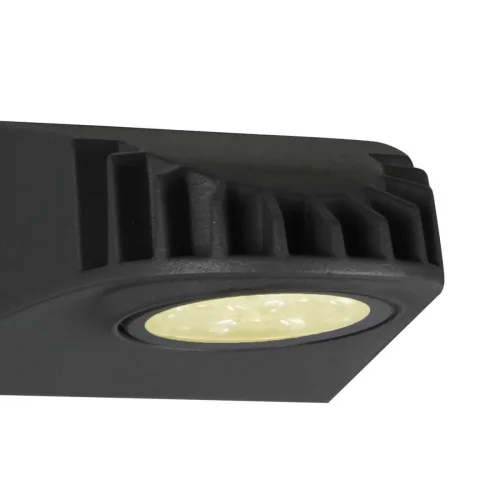 Настенный светильник Versus 3029-1W Favourite уличный IP54 чёрный 1 лампа, плафон прозрачный в стиле современный LED фото 2