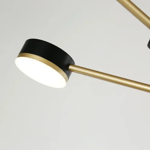 Люстра потолочная LED Modul 4013-6P Favourite чёрная золотая на 6 ламп, основание чёрное в стиле современный  фото 5