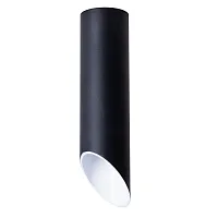 Светильник накладной Pilon A1622PL-1BK Arte Lamp чёрный 1 лампа, основание чёрное в стиле современный круглый