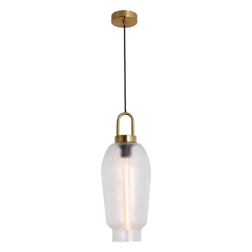 Светильник подвесной Laredo LSP-8844 Lussole прозрачный 1 лампа, основание бронзовое в стиле лофт современный 