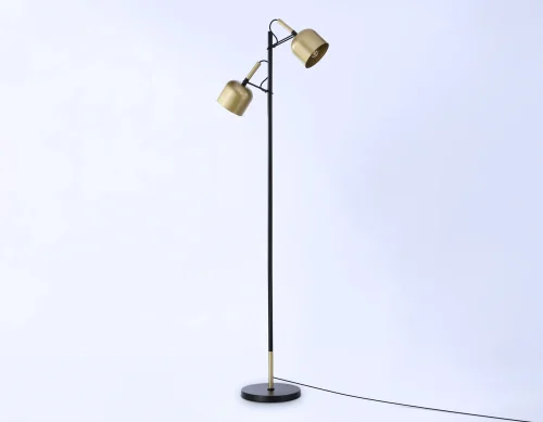 Торшер TR97125 Ambrella light  золотой 2 лампы, основание чёрное в стиле современный лофт
 фото 2