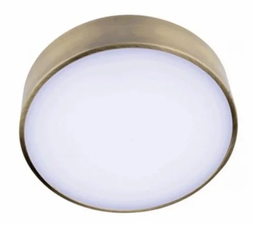 Светильник потолочный LED Evon APL.0113.29.24 Aployt белый 1 лампа, основание латунь в стиле хай-тек современный 