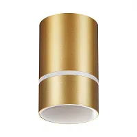 Светильник накладной Elina 370734 Novotech золотой 1 лампа, основание золотое в стиле хай-тек современный круглый
