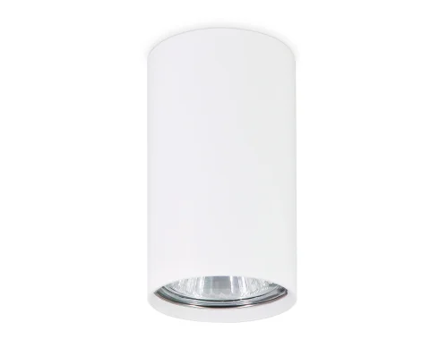 Светильник накладной TN213108 Ambrella light белый 1 лампа, основание белое в стиле минимализм хай-тек круглый фото 2