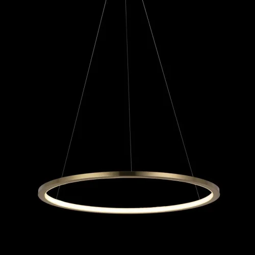 Светильник подвесной LED Ring 10014M LOFT IT золотой 1 лампа, основание золотое в стиле хай-тек кольца фото 6