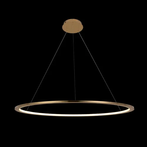 Светильник подвесной LED Ring 10014L LOFT IT золотой 1 лампа, основание золотое в стиле современный хай-тек кольца фото 4
