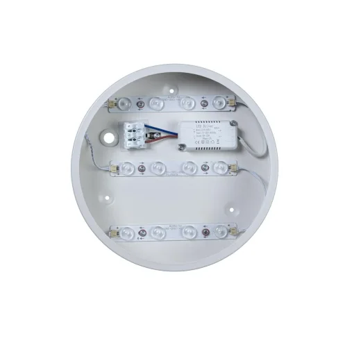 Светильник потолочный LED Axel 10002/12 White LOFT IT белый 1 лампа, основание белое в стиле современный  фото 4