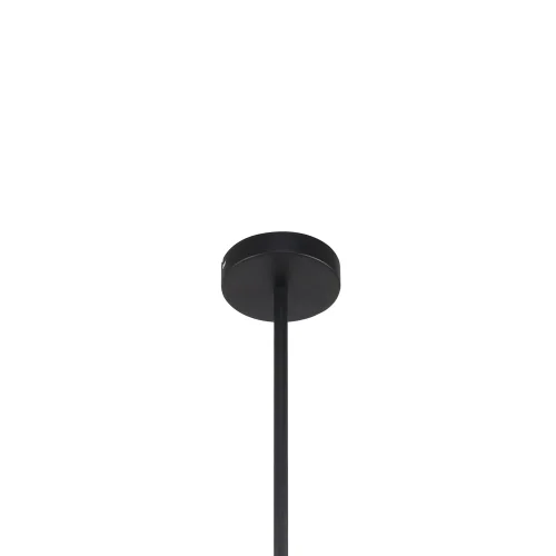Люстра на штанге Chart 3092-10P F-promo чёрная на 10 ламп, основание чёрное в стиле современный  фото 3