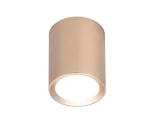 Светильник накладной TN216 Ambrella light золотой 1 лампа, основание золотое в стиле современный круглый