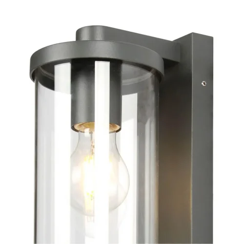 Настенный светильник Lukturis 3038-1W Favourite уличный IP44 чёрный 1 лампа, плафон прозрачный в стиле современный E27 фото 3