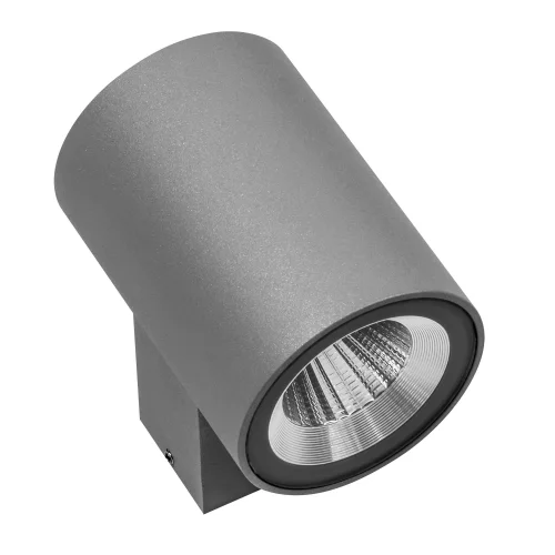 Настенный светильник LED Paro 351694 Lightstar уличный IP65 серый 1 лампа, плафон серый в стиле хай-тек LED