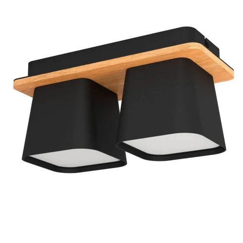 Светильник потолочный Ruscio 390007 Eglo чёрный 2 лампы, основание чёрное коричневое в стиле современный 
