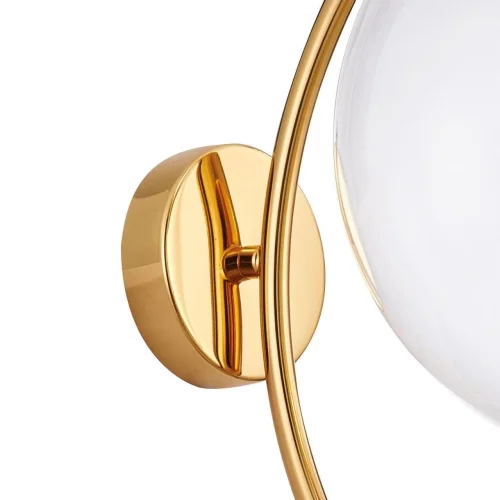Бра Funnel 2880-1W Favourite прозрачный на 1 лампа, основание золотое в стиле современный  фото 2