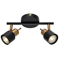 Спот с 2 лампами Almach A1906PL-2BK Arte Lamp чёрный GU10 в стиле современный 
