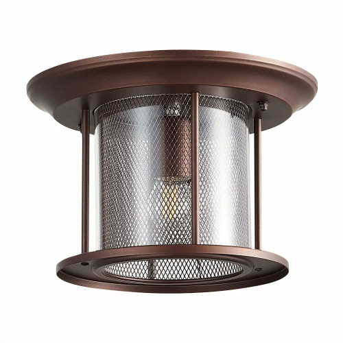 Потолочный светильник LASTERO SL080.402.01 St-Luce уличный IP44 коричневый 1 лампа, плафон прозрачный в стиле кантри E27 фото 3