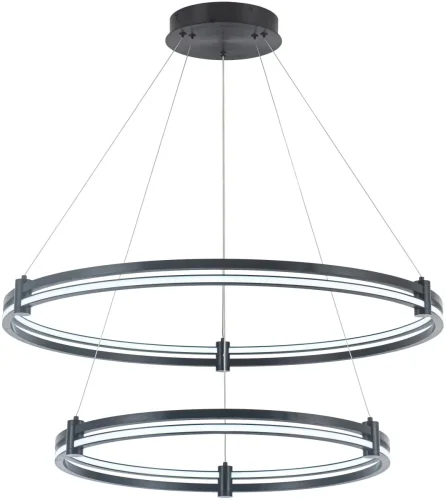 Светильник подвесной LED с пультом Ring 4006/02/02P Stilfort чёрный 1 лампа, основание чёрное в стиле современный хай-тек с пультом кольца фото 3