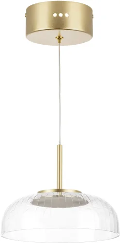 Светильник подвесной LED Acrile 738073 Lightstar прозрачный 1 лампа, основание золотое в стиле минимализм хай-тек современный 