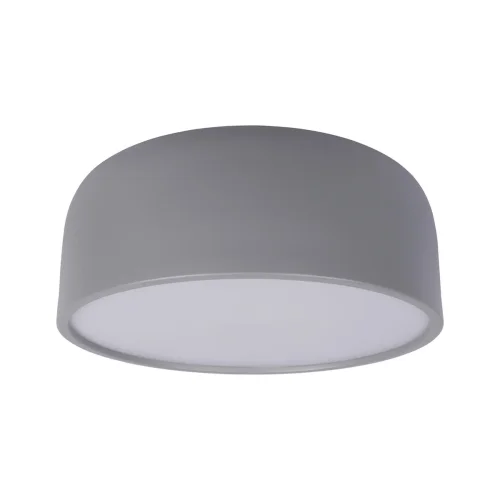 Светильник потолочный LED Axel 10201/350 Grey LOFT IT белый серый 1 лампа, основание серое в стиле современный 