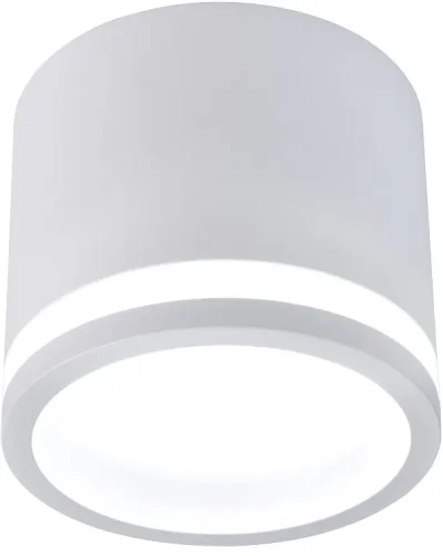 Светильник накладной Festum 4213-1C Favourite белый 1 лампа, основание белое в стиле хай-тек современный 