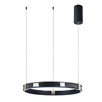 Светильник подвесной LED Shine A2222SP-1BK Arte Lamp чёрный 1 лампа, основание чёрное в стиле хай-тек современный кольца