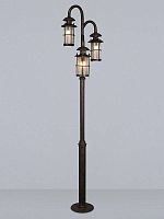 Парковый светильник BATTISTA L70993.07 L'ARTE LUCE уличный IP23 коричневый 3 лампы, плафон прозрачный в стиле классический E27
