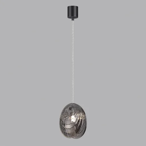 Светильник подвесной Mussels 5038/1 Odeon Light чёрный серый 1 лампа, основание чёрное в стиле современный  фото 4