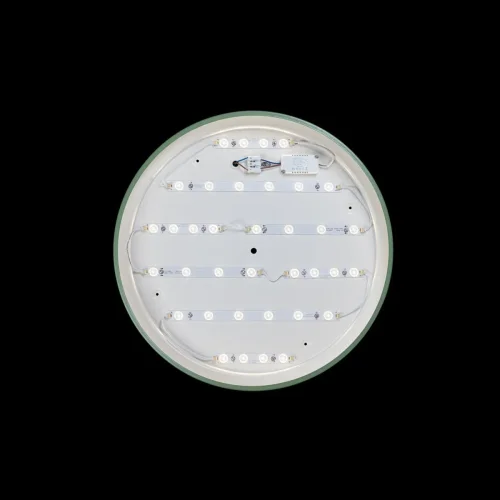 Светильник потолочный LED Axel 10001/36 Green LOFT IT белый 1 лампа, основание зелёное в стиле современный  фото 3