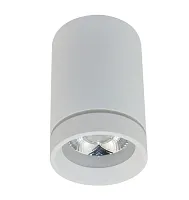 Светильник накладной LED Edda APL.0053.09.10 Aployt белый 1 лампа, основание белое в стиле хай-тек современный круглый