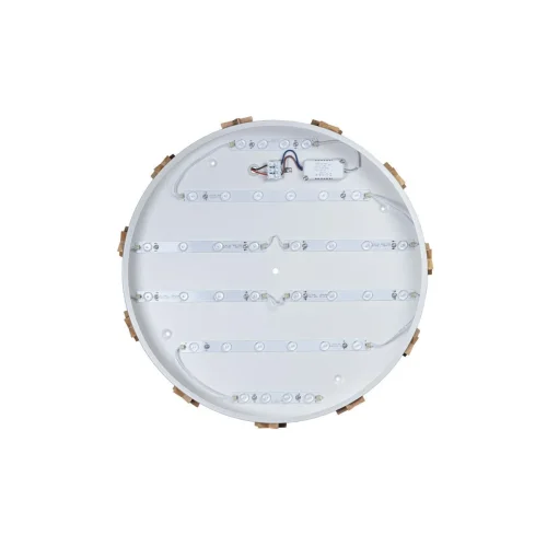 Светильник потолочный LED Axel 10006/36 White LOFT IT белый 1 лампа, основание белое в стиле современный  фото 3