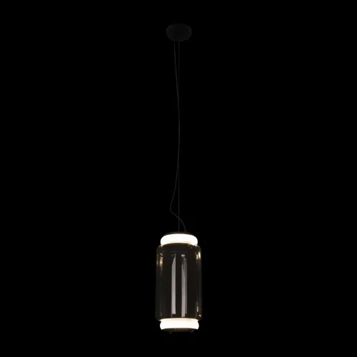 Светильник подвесной LED Noctambule 10194/S LOFT IT прозрачный 2 лампы, основание чёрное в стиле современный  фото 2