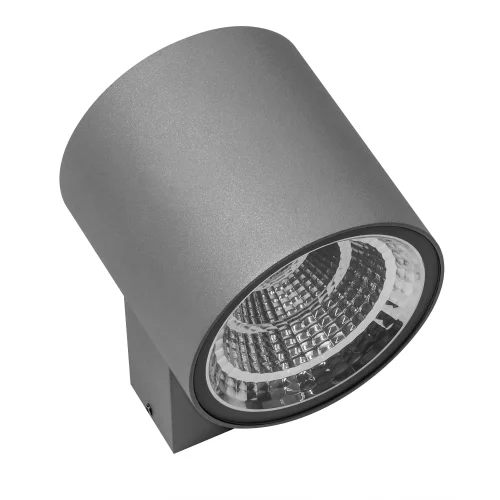 Настенный светильник LED Paro 361692 Lightstar уличный IP65 серый 1 лампа, плафон серый в стиле хай-тек LED