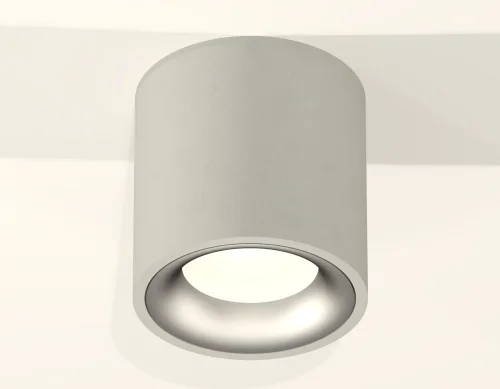 Светильник накладной Techno spot XS7533023 Ambrella light серый 1 лампа, основание серое в стиле хай-тек современный круглый фото 3
