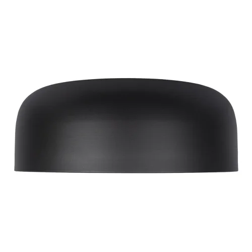 Светильник потолочный LED Axel 10201/480 Black LOFT IT белый чёрный 1 лампа, основание чёрное в стиле современный  фото 5