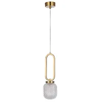 Светильник подвесной CAROLINA SP1 V2 BRASS Crystal Lux прозрачный 1 лампа, основание латунь в стиле современный 