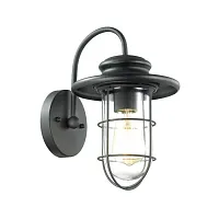Настенный светильник Helm 4171/1W Odeon Light уличный IP44 чёрный 1 лампа, плафон прозрачный в стиле классический E27