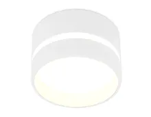 Светильник накладной TN620 Ambrella light белый 1 лампа, основание белое в стиле хай-тек современный круглый