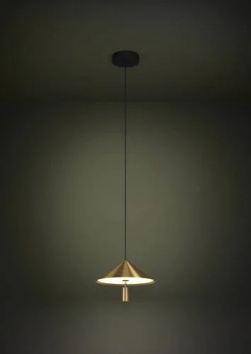 Светильник подвесной LED Paraguay 390271 Eglo белый матовый латунь 1 лампа, основание чёрное в стиле современный кантри лофт  фото 2