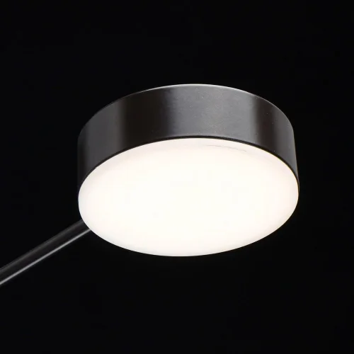 Люстра потолочная LED с пультом Гэлэкси 632016808 DeMarkt коричневая на 8 ламп, основание коричневое в стиле хай-тек с пультом фото 4